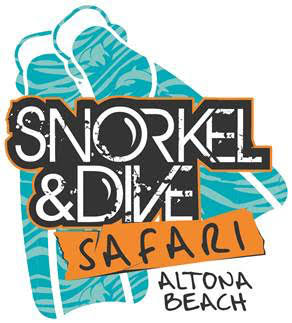 Snorkel & Dive Safari